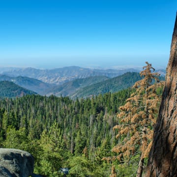 How close is Hillstone Inn Tulare to local attractions and parks?